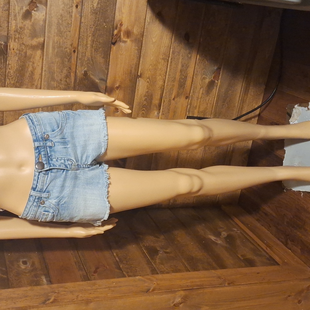 No boundaries shorts size 5
